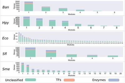 Identification of Modules With Similar Gene Regulation and Metabolic Functions Based on Co-expression Data